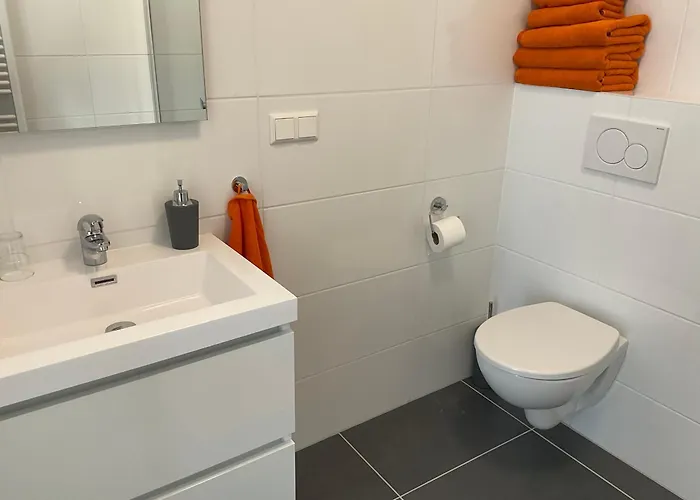 Aristoteles * La Haya